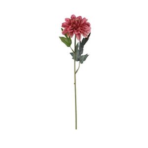 Hovedbilde Zinnia rosa 45cm