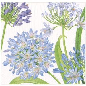 Hovedbilde Servietter Agapanthus Garden - middag