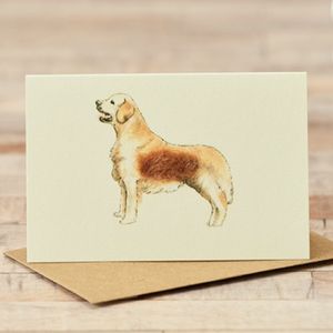 Hovedbilde Lite kort 'Retriever' 9*6 cm