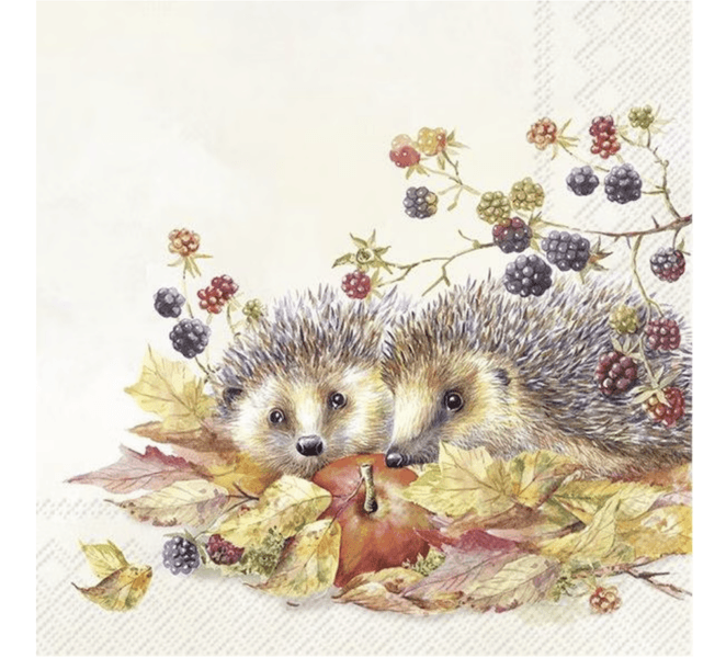 Hedhehog Friends Cream (Lunsj)