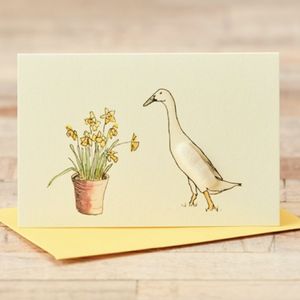 Hovedbilde Lite Kort `Duck With Daffodils ' 9*6 cm