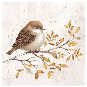 Hovedbilde Autumn Melody Cream - kaffe