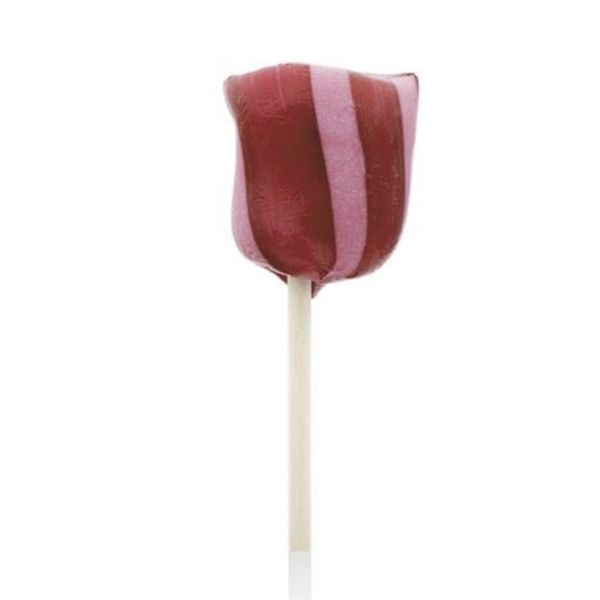 Slikkepinne jordbær 24gr.
