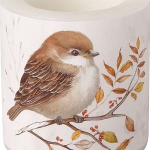 Hovedbilde Stormlys Autumn Melody Cream