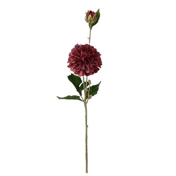 Dahlia burgunder 66cm