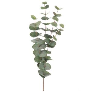 Hovedbilde Eucalyptusgren 60cm - gr&oslash;nn