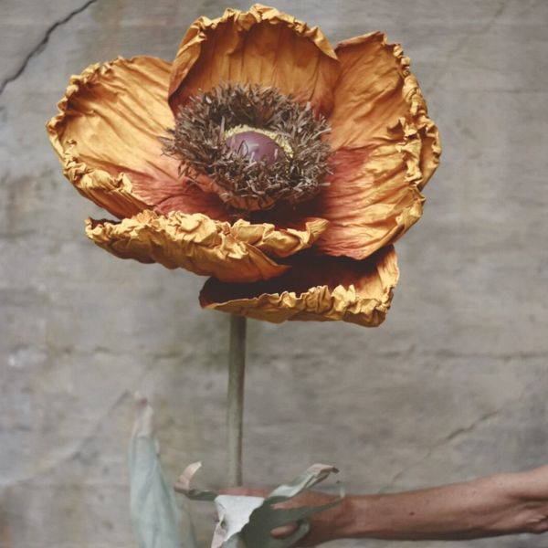 Papirblomst Valmue - 130 Cm rust